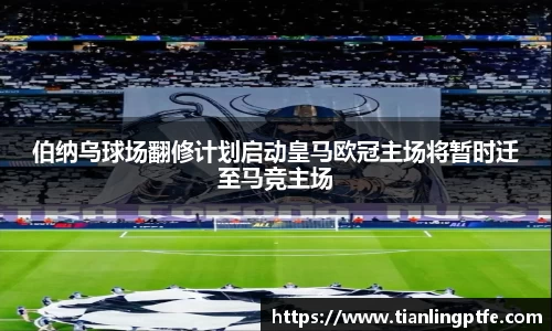 333体育伯纳乌球场翻修计划启动皇马欧冠主场将暂时迁至马竞主场